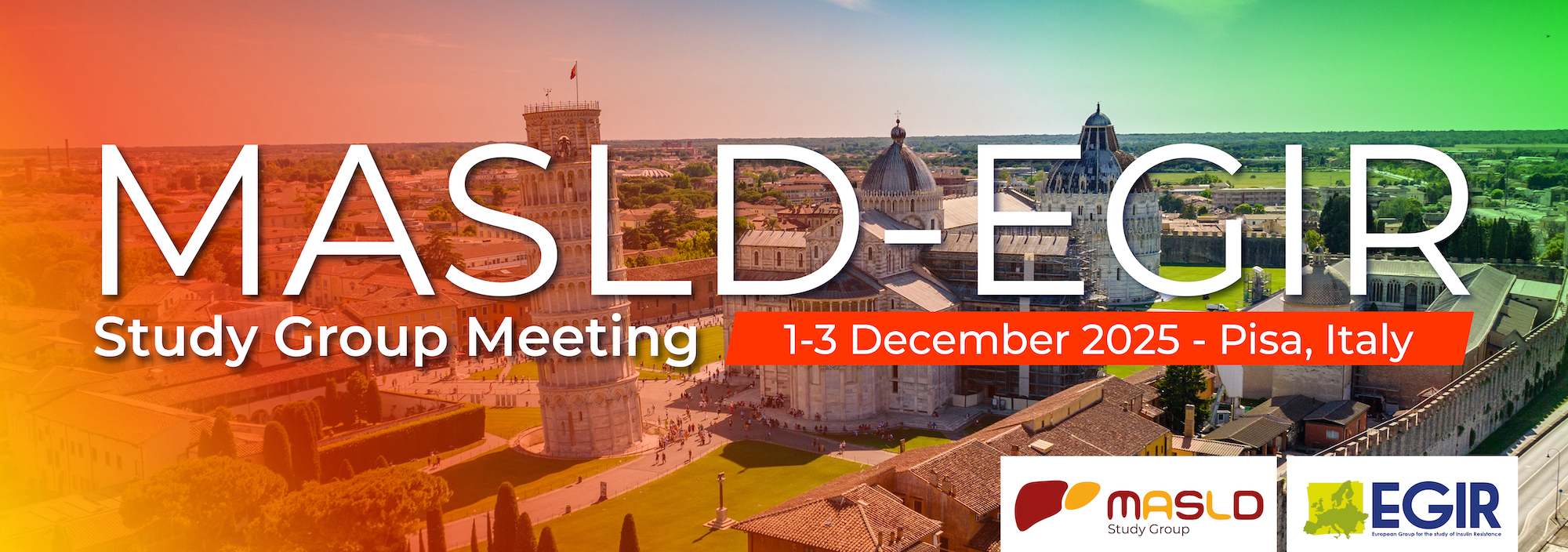 MASLD-EGIR Study Groups Meeting